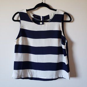Lightly Used Navy and White Striped Crop Top